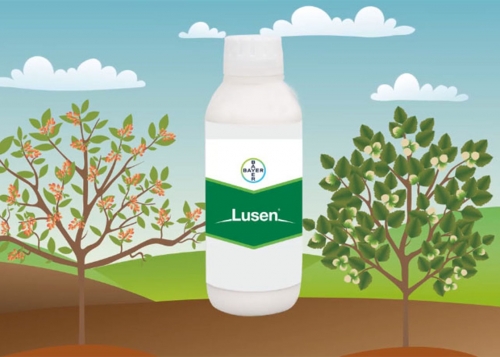 LUSEN