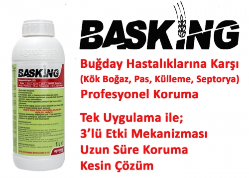 BASKİNG